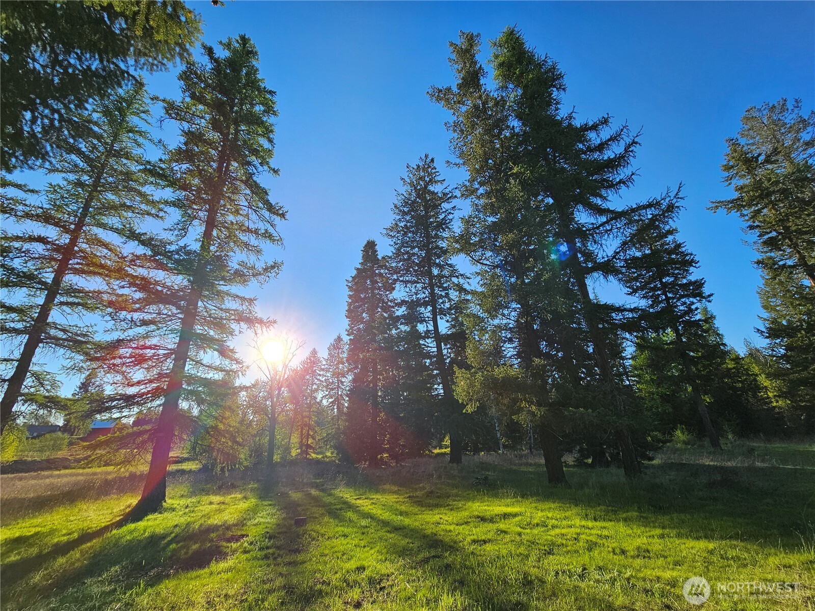 2 E Eloika Lake Road Deer Park WA 99006