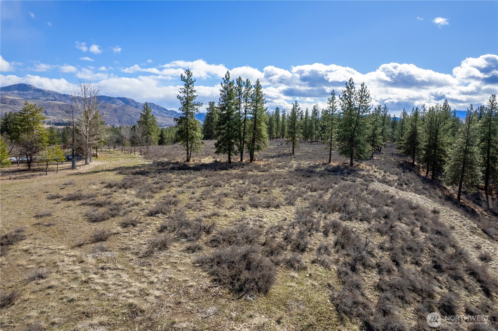 40 Rabbit House Road Winthrop WA 98862