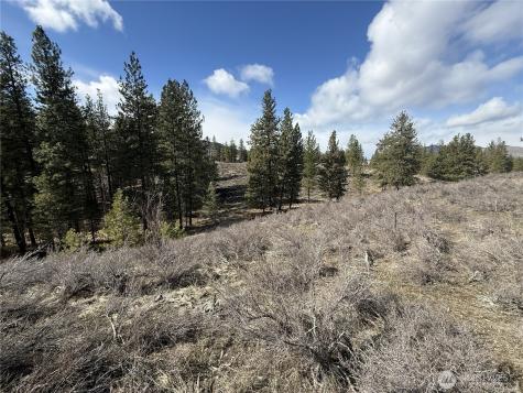 40 Rabbit House Road Winthrop WA 98862