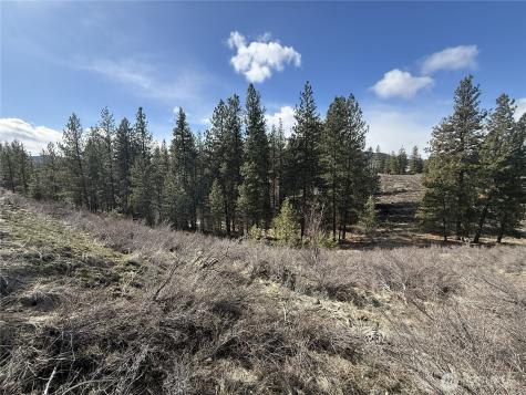 40 Rabbit House Road Winthrop WA 98862