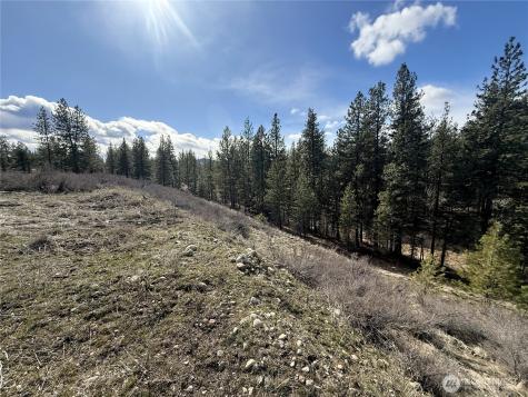 40 Rabbit House Road Winthrop WA 98862
