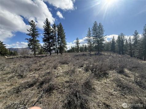40 Rabbit House Road Winthrop WA 98862