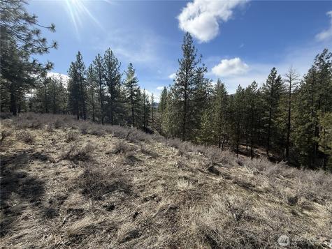 40 Rabbit House Road Winthrop WA 98862