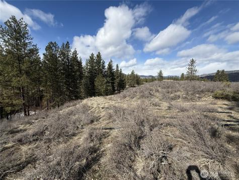 40 Rabbit House Road Winthrop WA 98862