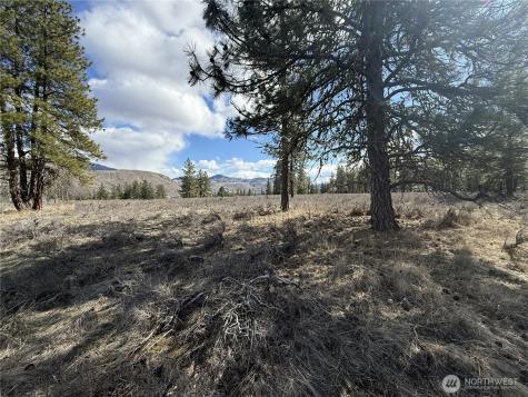 40 Rabbit House Road Winthrop WA 98862