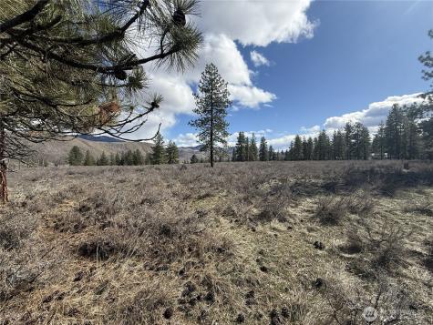 40 Rabbit House Road Winthrop WA 98862