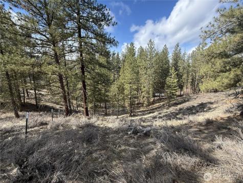 40 Rabbit House Road Winthrop WA 98862