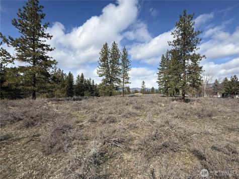40 Rabbit House Road Winthrop WA 98862