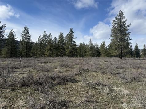 40 Rabbit House Road Winthrop WA 98862