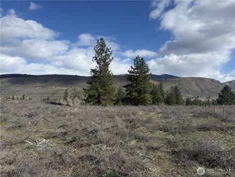 40 Rabbit House Road Winthrop WA 98862