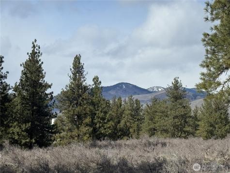 40 Rabbit House Road Winthrop WA 98862