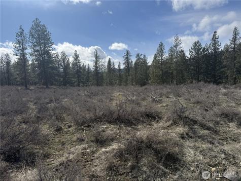 40 Rabbit House Road Winthrop WA 98862
