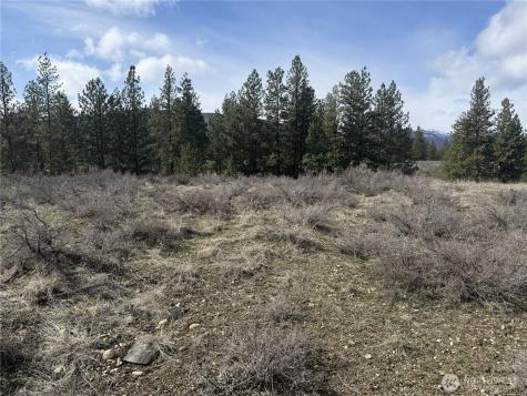 40 Rabbit House Road Winthrop WA 98862