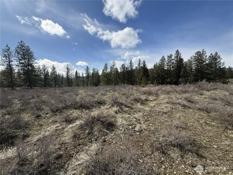 40 Rabbit House Road Winthrop WA 98862
