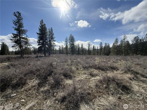 40 Rabbit House Road Winthrop WA 98862
