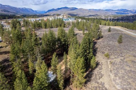 40 Rabbit House Road Winthrop WA 98862