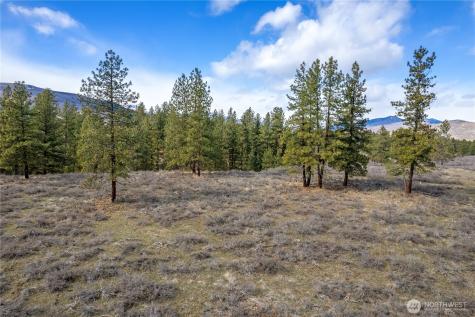 40 Rabbit House Road Winthrop WA 98862