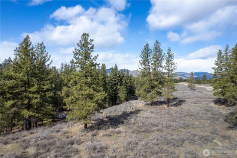 40 Rabbit House Road Winthrop WA 98862