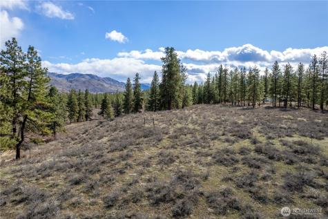 40 Rabbit House Road Winthrop WA 98862
