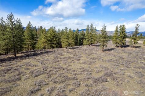 40 Rabbit House Road Winthrop WA 98862