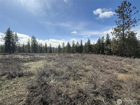 40 Rabbit House Road Winthrop WA 98862