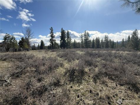 40 Rabbit House Road Winthrop WA 98862