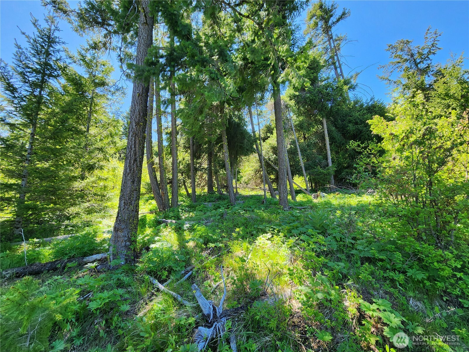 1 Black Hawk Drive Cle Elum WA 98922