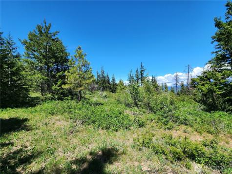 1 Black Hawk Drive Cle Elum WA 98922