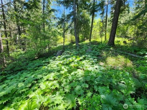 1 Black Hawk Drive Cle Elum WA 98922