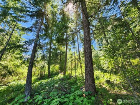 1 Black Hawk Drive Cle Elum WA 98922