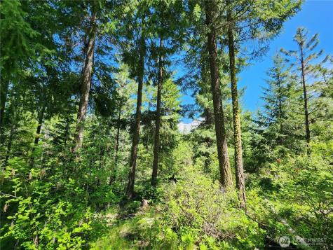 1 Black Hawk Drive Cle Elum WA 98922