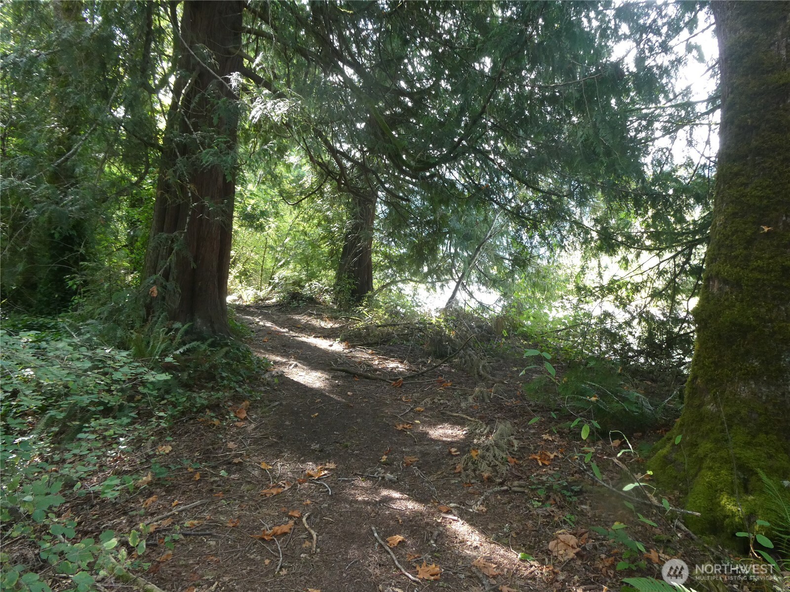 1212 Croft Avenue Gold Bar WA 98251