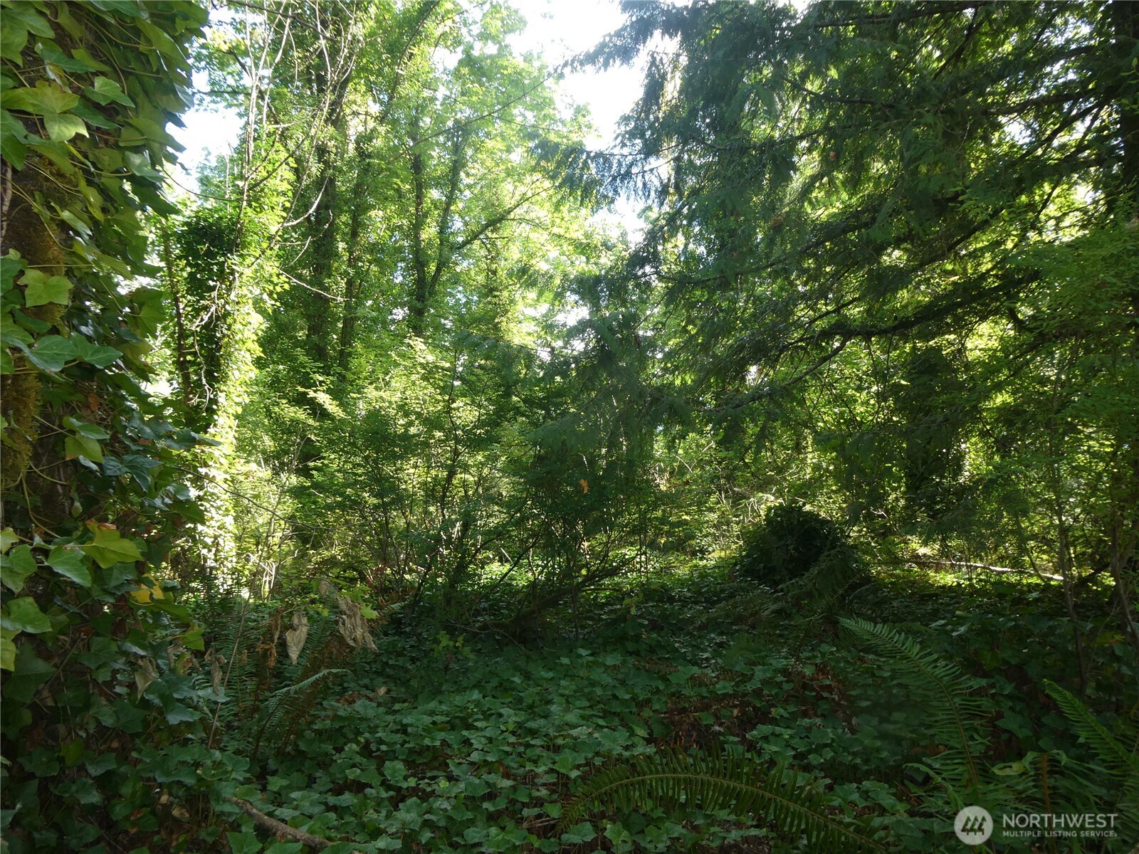 1212 Croft Avenue Gold Bar WA 98251