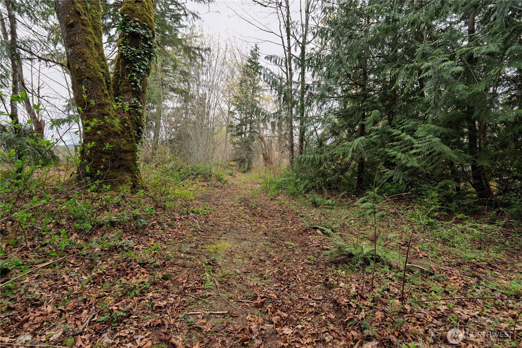 1212 Croft Avenue Gold Bar WA 98251