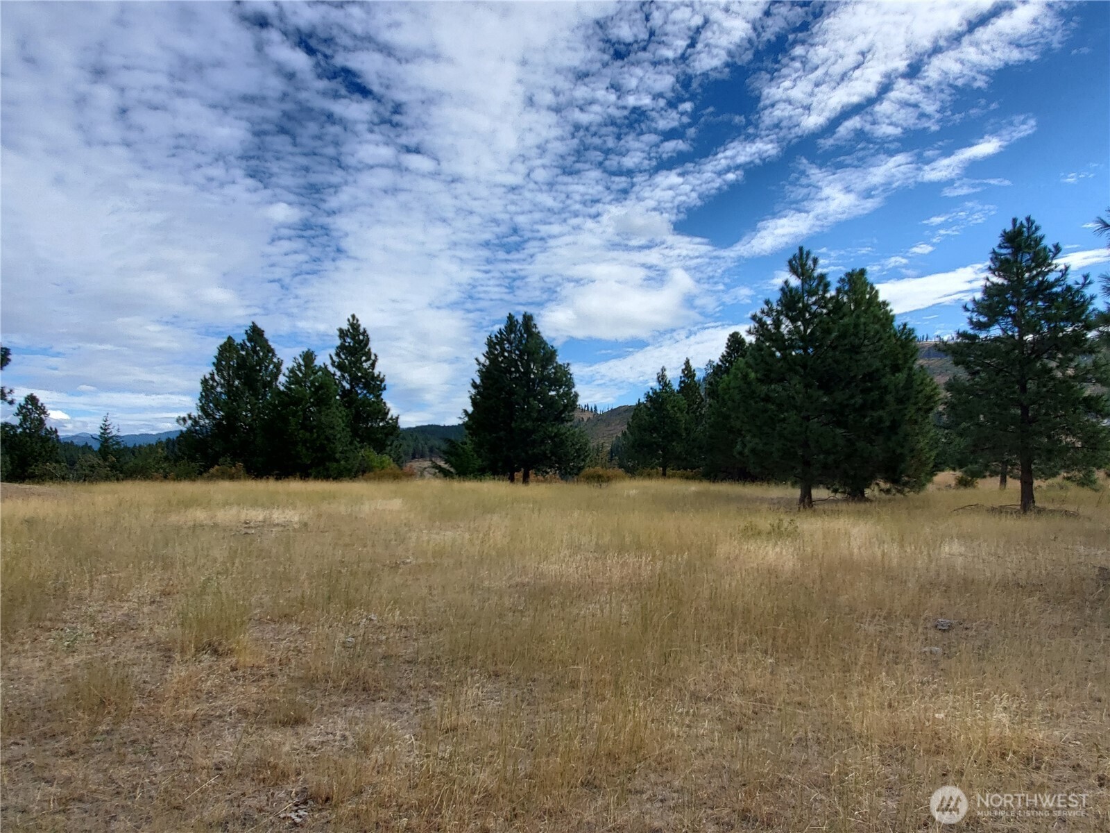 10 Summit View At Wallace Ranch Cle Elum WA 98922