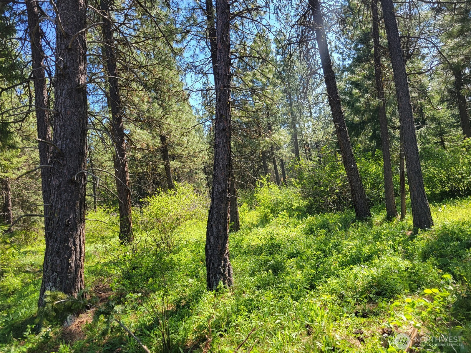 10 Summit View At Wallace Ranch Cle Elum WA 98922