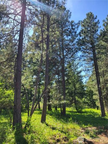 10 Summit View At Wallace Ranch Cle Elum WA 98922