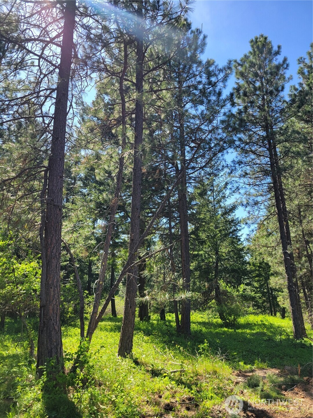 10 Summit View At Wallace Ranch Cle Elum WA 98922