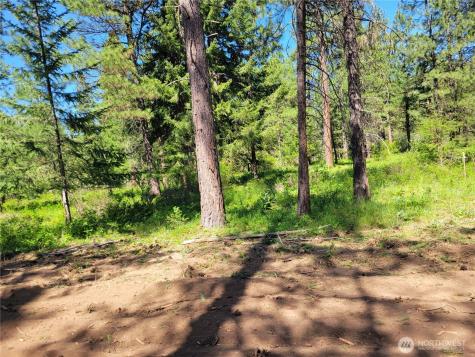 10 Summit View At Wallace Ranch Cle Elum WA 98922