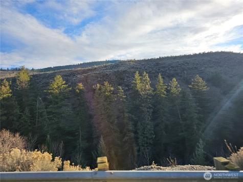6 Pine Grove Road Oroville WA 98844