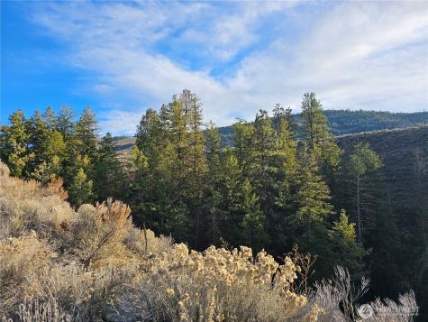 6 Pine Grove Road Oroville WA 98844