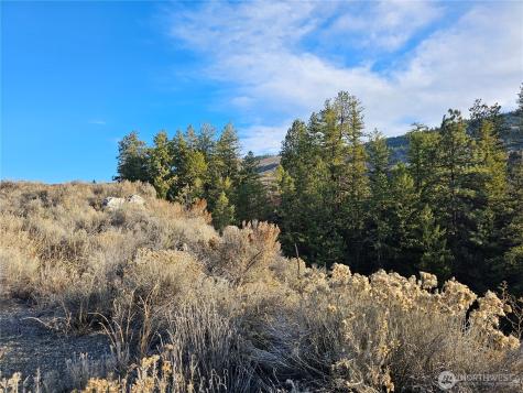 6 Pine Grove Road Oroville WA 98844