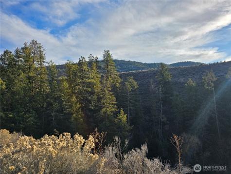 6 Pine Grove Road Oroville WA 98844