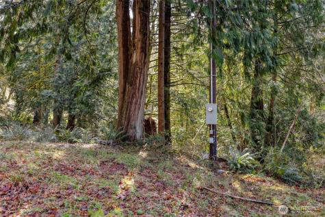 29631 124th Avenue NE Arlington WA 98223
