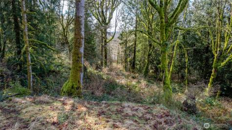 29631 124th Avenue NE Arlington WA 98223