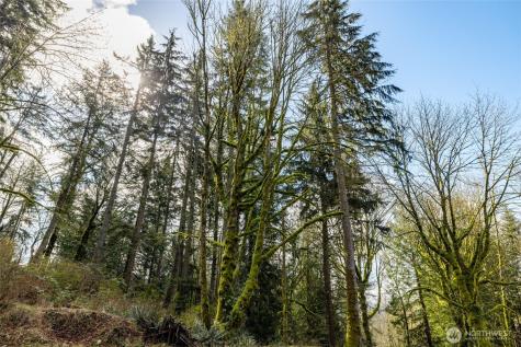 29631 124th Avenue NE Arlington WA 98223