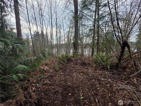 33722 Thomas Road E Eatonville WA 98328