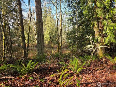 33722 Thomas Road E Eatonville WA 98328