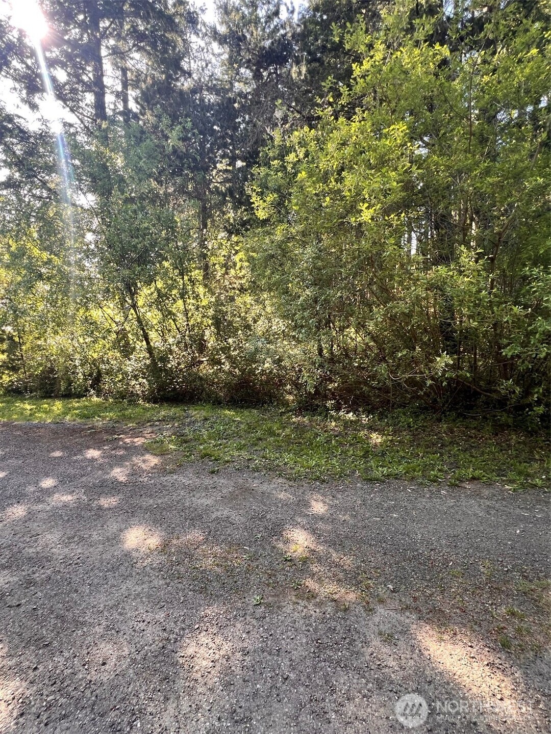 61 NE Fern Court Tahuya WA 98588