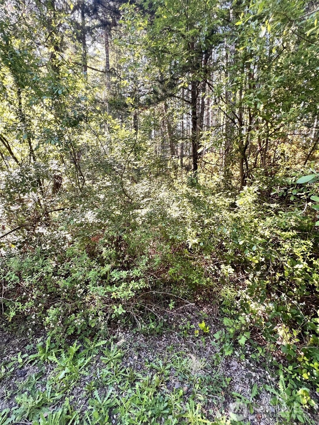 61 NE Fern Court Tahuya WA 98588
